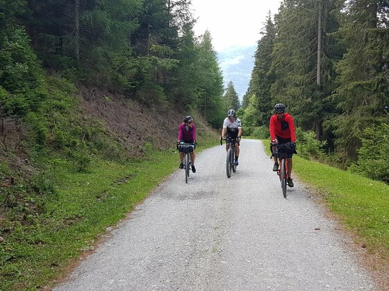 Durch den schattigen Wald am Felberberg
