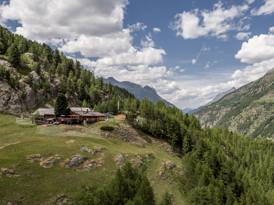 Lenzenalm
