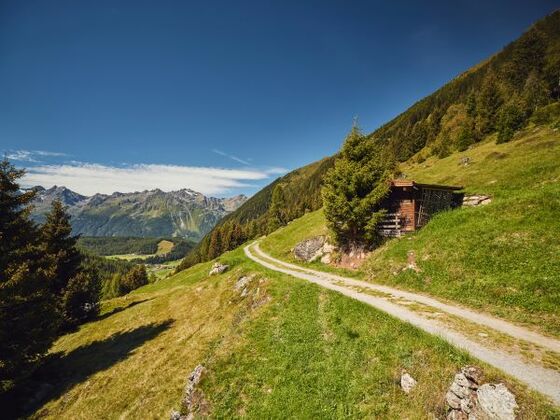 Bergmahderweg