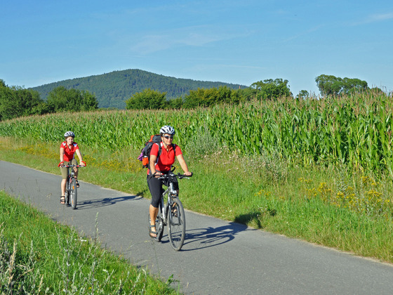 Radfahrer in Coburg.Rennsteig