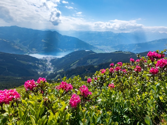Hohe Tauern Panorama Trail – ET10 Zeller See