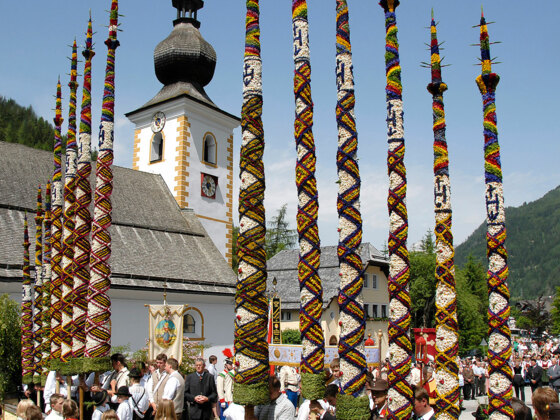 50.000 duftende Blüten auf den Prangstangen zum Johannisfest im Juni