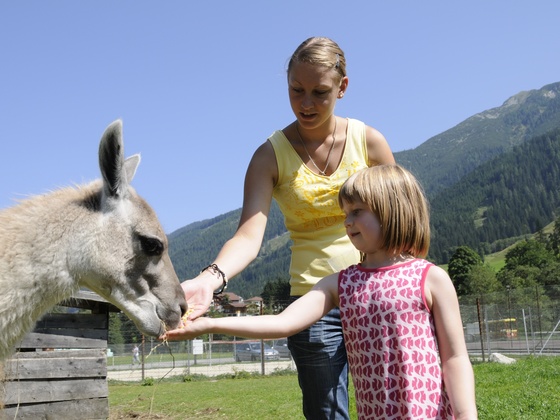 Wildpark Untertauern