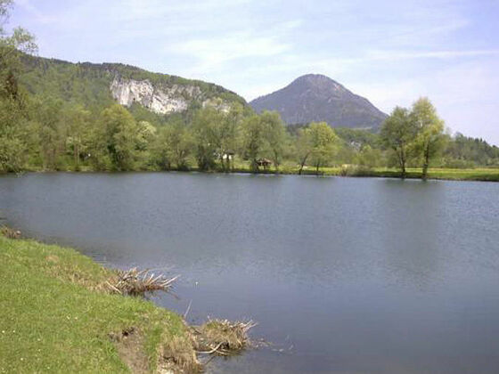 Der Kreuthsee: Ein kleiner Naturbadesee in Kiefersfelden.