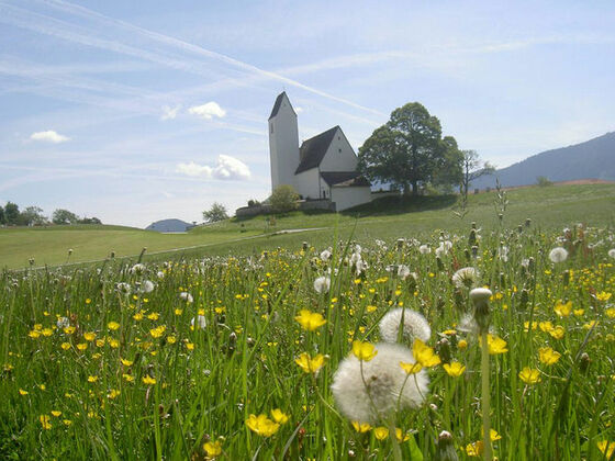 St. Peter in Steinkirchen mit blühender Wiese