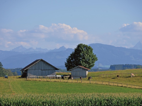 Unterwegs auf dem Sagenhaften Weg