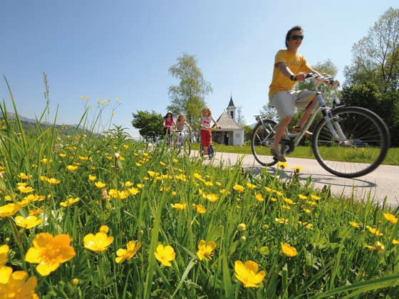 Radfahrer in Radfeld