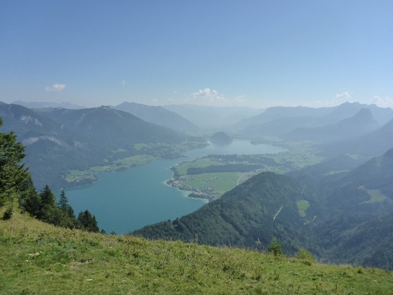Blick vom Zwölferhorn auf den Wolfgangsee