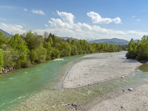 'Wildfluss Isar