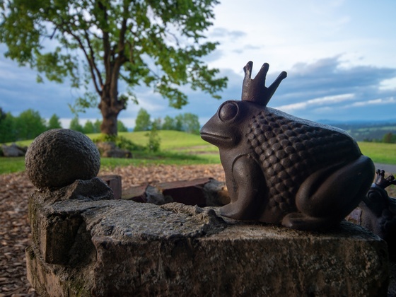 Froschkönig im Hexenwäldle