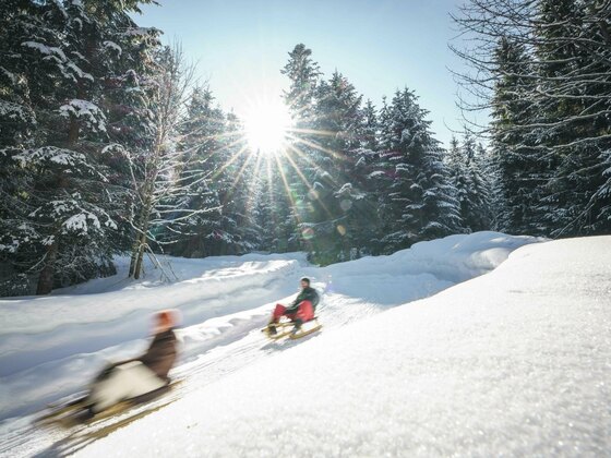 Rodeln in Gmund am Tegernsee