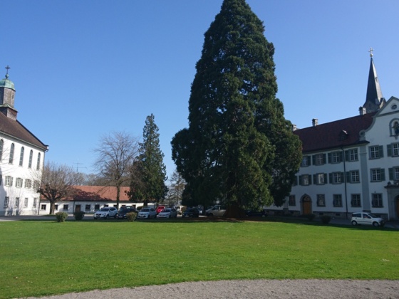 Kloster Wettingen-Mehrerau bei Bregenz