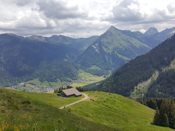 Blick auf die Brendler Alpe