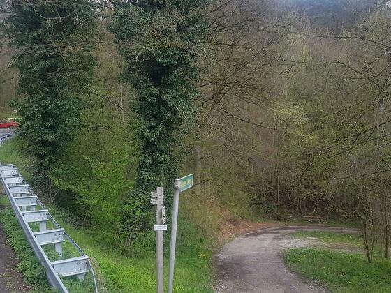 Dooser Berg Parkbucht mit Abzweig &quot;Neuer Weg&quot;