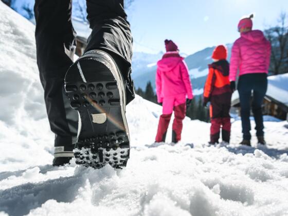 Winterwandern