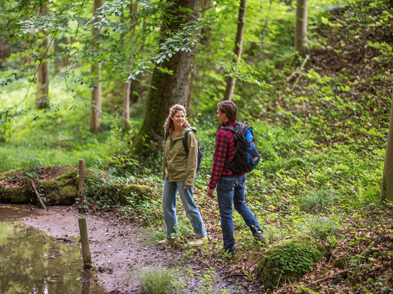 Wandern in Bad Kissingen