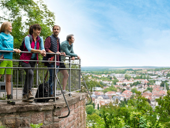 Ausblick über Bad Kissingen