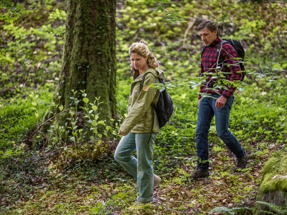 Wanderung in Bad Kissingen