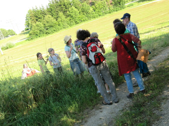 Wald und Wiesen wechseln sich ab