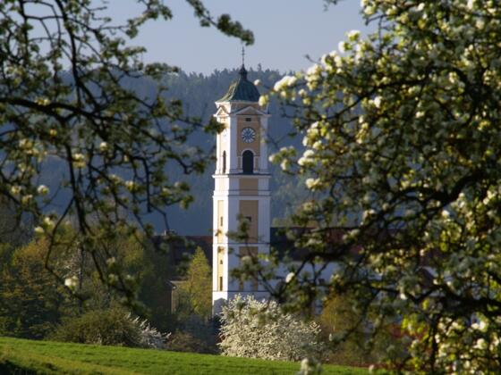 Blick auf die Pfarrkirche Mariä Himmelfahrt in Bad Birnbach