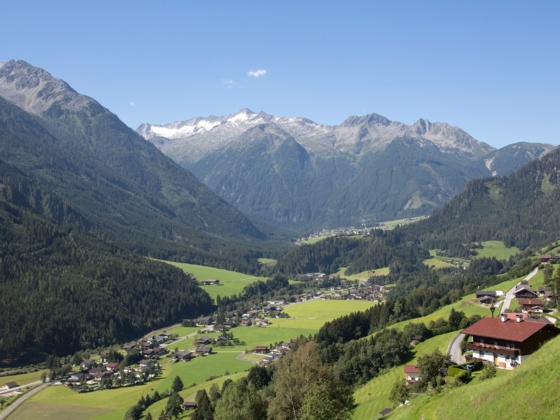 Wald im Pinzgau