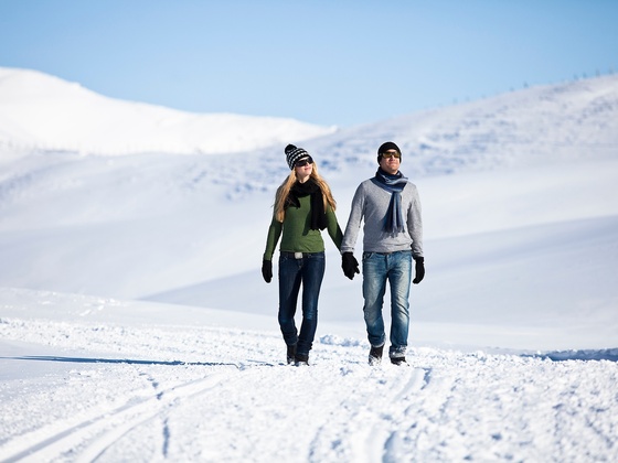 Winterwandern