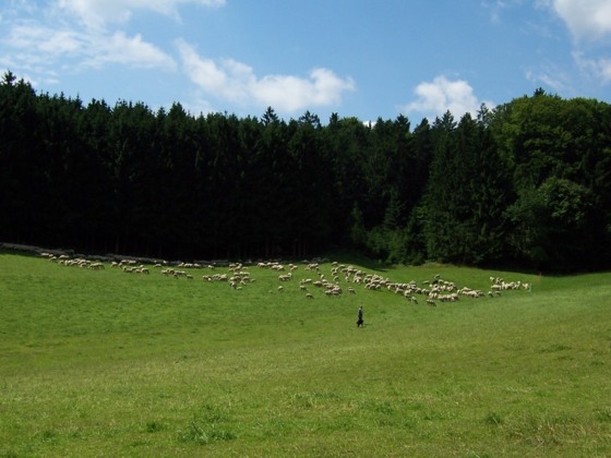 Am Schellenberg