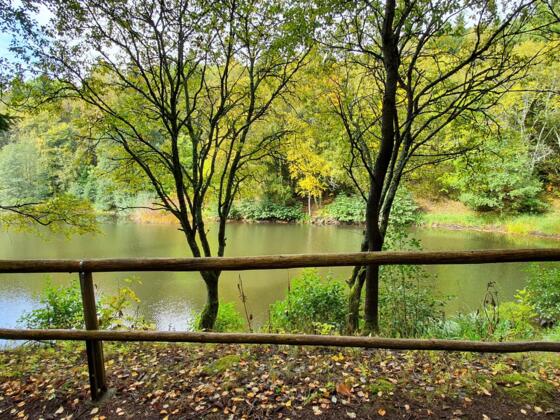 Basaltsee Rhön