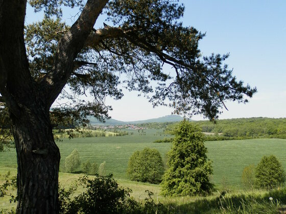 Blick auf den Gleichberg