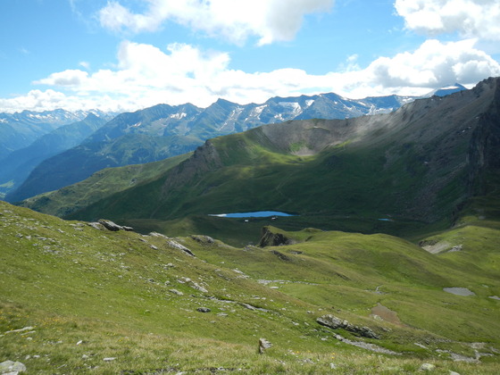 Torsee