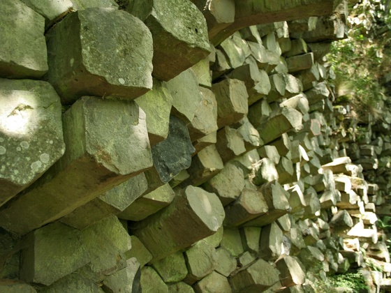 Am Südosthang des Gangolfsbergs führt der Pfad an einer der besterhaltenen Basaltprismenwände der Rhön vorbei.