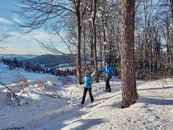 Schneeschuhwandern Silberberg