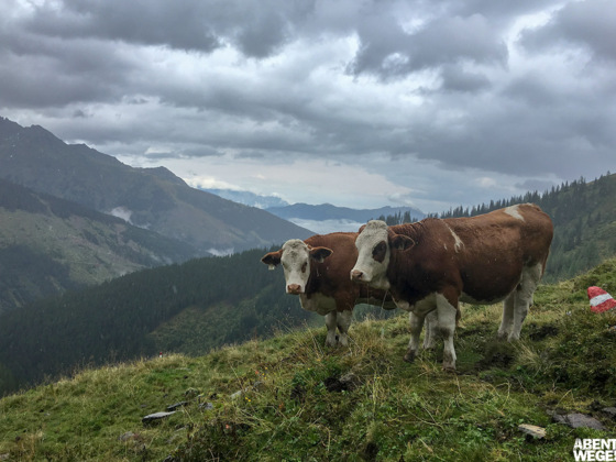Wanderung vom Angertal nach Sportgastein.