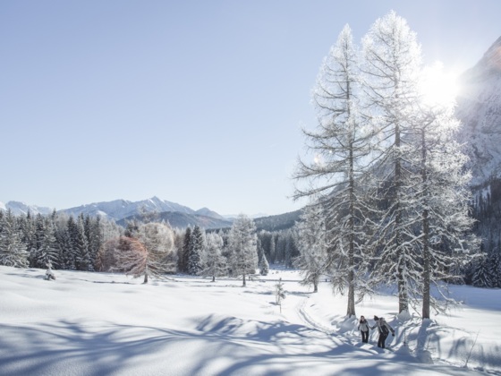 Winter im Leutaschtal