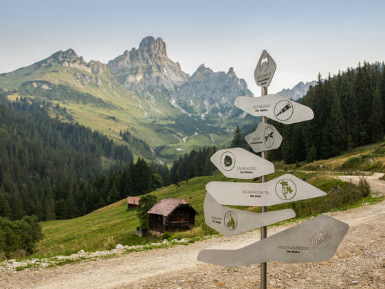 Salzburger Gipfelspiel