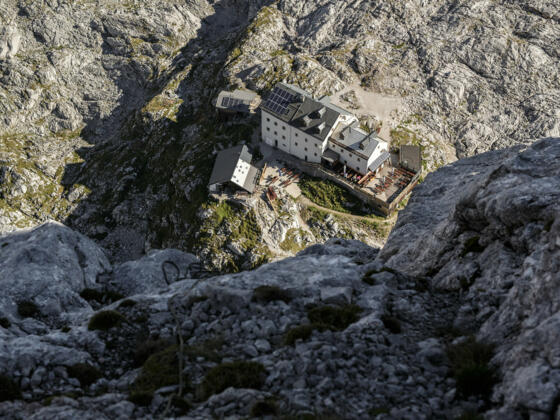 Riemannhaus