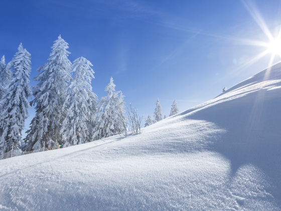 Herrliche Schneelandschaft