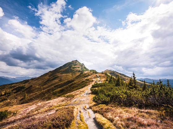 Blick zum Grießenkar