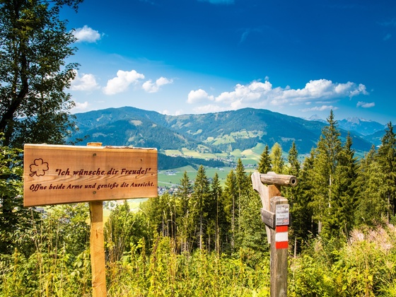 herrliche Aussicht