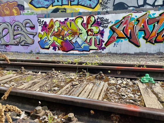 Im Vordergrund: Stillgelegte Gleise; im Hintergrund: Bahnhofsmauern voller Graffiti