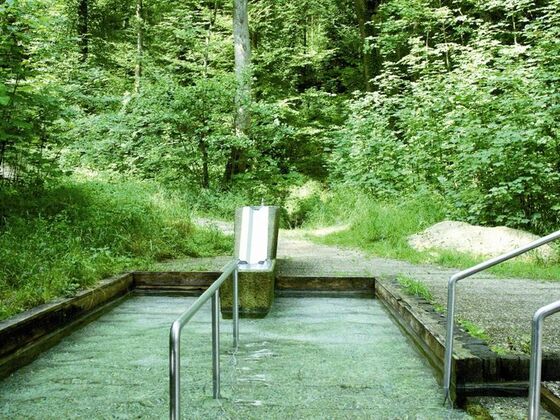 Kneippanlage am Fessler Weiher in Prien am Chiemsee