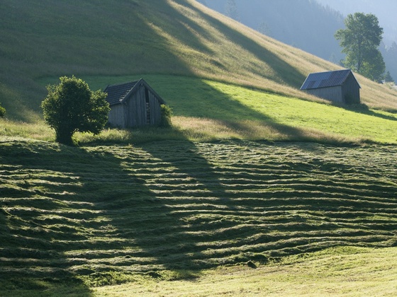 Wanderung - Ammergauer Wiesmahdweg
