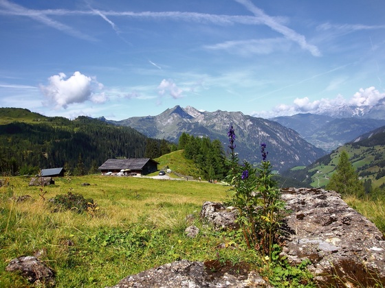 Großwildalm