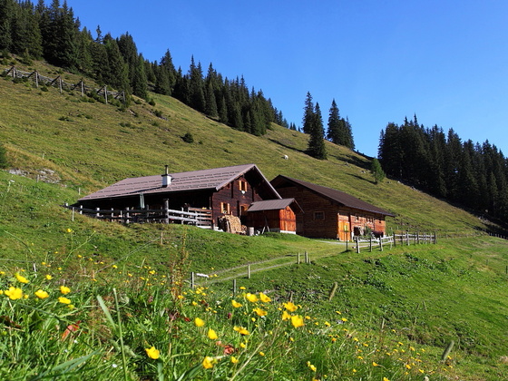 Vorderkaseralm