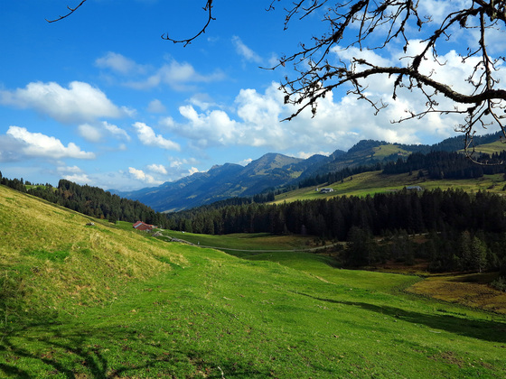 Aussicht vom Steinernen Tor.
