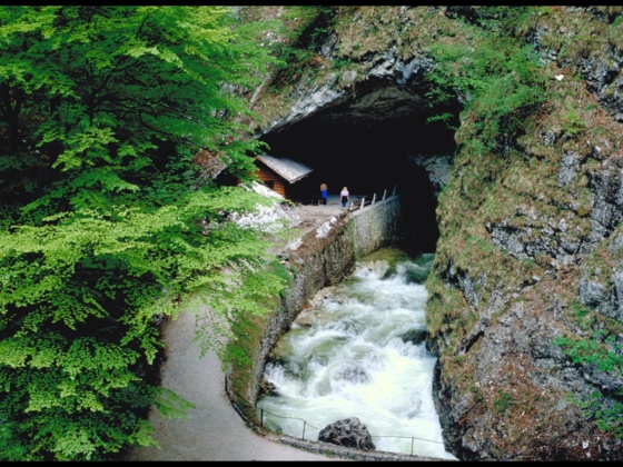 Koppenbrüllerhöhle
