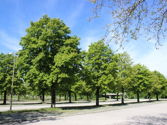Parkplatz am Olympiapark