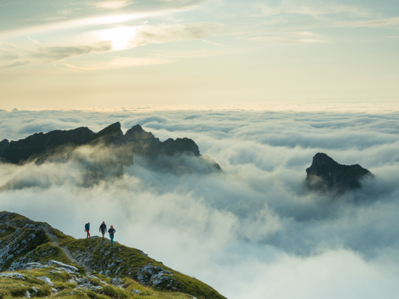 Steig auf die Hochplatte