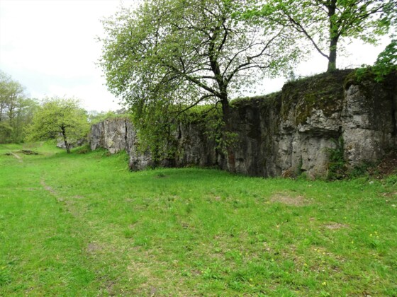 Rundweg 6 Zum Grüber Stein - Grub am Forst