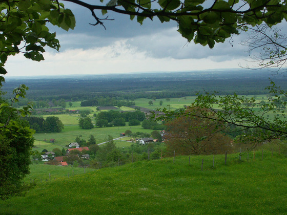 Auf dem Leibl Weg
